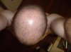 IMGP2625.jpg