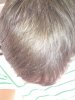DSC02953 - copy.jpg