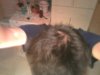 Foto?raf0128.jpg