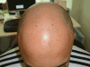 front-1.gif