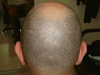 back-1.gif