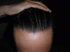 DSCN4635.GIF