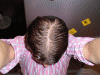 Top Wet 20100227.gif