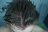 DSC07761.jpg