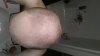 20150811_093510.jpg