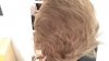 IMG_0550.jpg IMG_0550.jpg