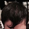 forelock wet.jpg