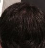 vertex dry.jpg