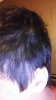 20160323_011806.jpg