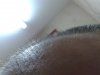 20160325_163019.jpg