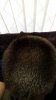 20160414_181138.jpg