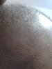 top hair.jpg