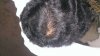 WP_20160503_009.jpg WP_20160503_009.jpg