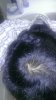 WP_20160604_013.jpg