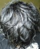 hair1.jpg