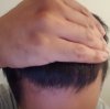 Hair 1.jpg