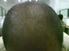 DSC00435 (WinCE).JPG