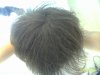 hair 009.jpg