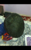 Screenshot_٢٠١٦-٠٦-٠٨-١٨-٤٦-٠٤.png