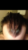 Hair.png