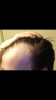Hair 3.png
