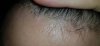 20170120_125420.jpg