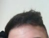 20170121_123039.jpg