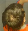 Crown02.jpg Crown02.jpg