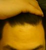 Frontal02.jpg Frontal02.jpg