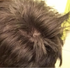 crown.png