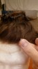 20170323_223606.jpg