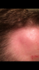 IMG_9505.PNG IMG_9505.PNG