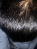 20170413_142837.jpg 20170413_142837.jpg