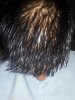 20170412_210537.jpg 20170412_210537.jpg