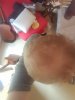 20170419_143019.jpg