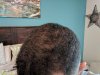 IMG_20170422_171235.jpg