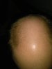 IMG_090517_193728.jpg