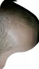 20170528_010204.jpg
