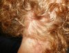 hair #4_1024.jpg