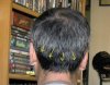 9-22-10 Natural Back.JPG