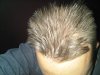 IMG00009-20101004-2001.jpg