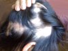 hair1.jpg
