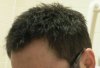 hair nano 2.jpg