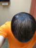 Progression 5 6.24.2017.jpg