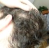haar11.jpg