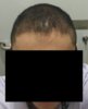 n1.jpg