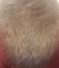20170811_155633.jpg