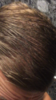 IMG_6284.PNG