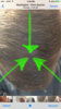 bald.jpg