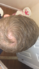 IMG_6310.PNG